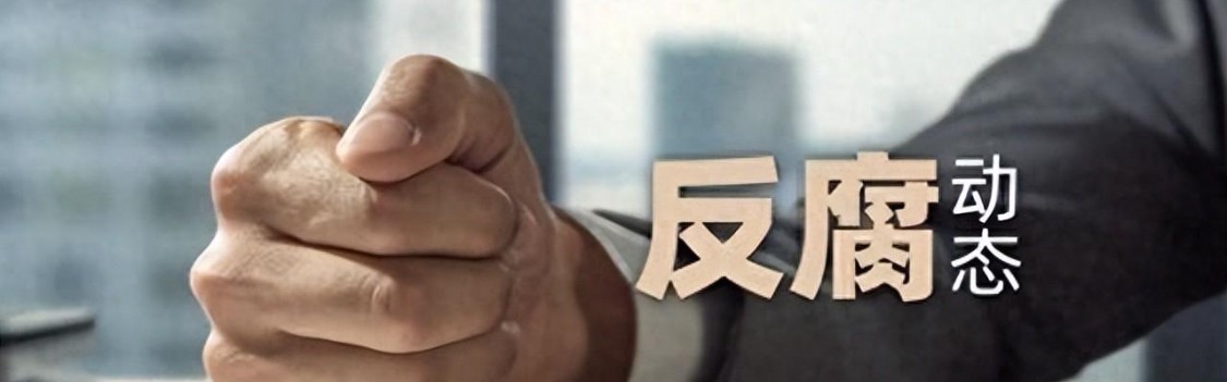 博鱼APP-李小林被查！铁血军魂不许玷污一声惊雷，又一只“老虎”应声落马